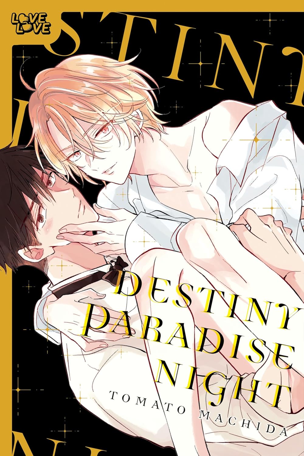 Manga (p)review: DESTINY PARADISE&nbsp;NIGHT