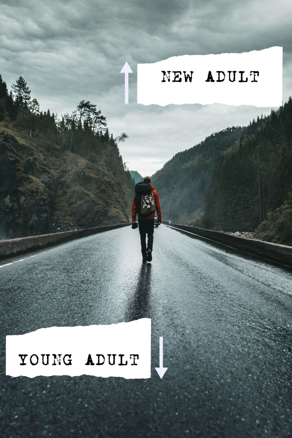 Walking away from YA to New&nbsp;Adult