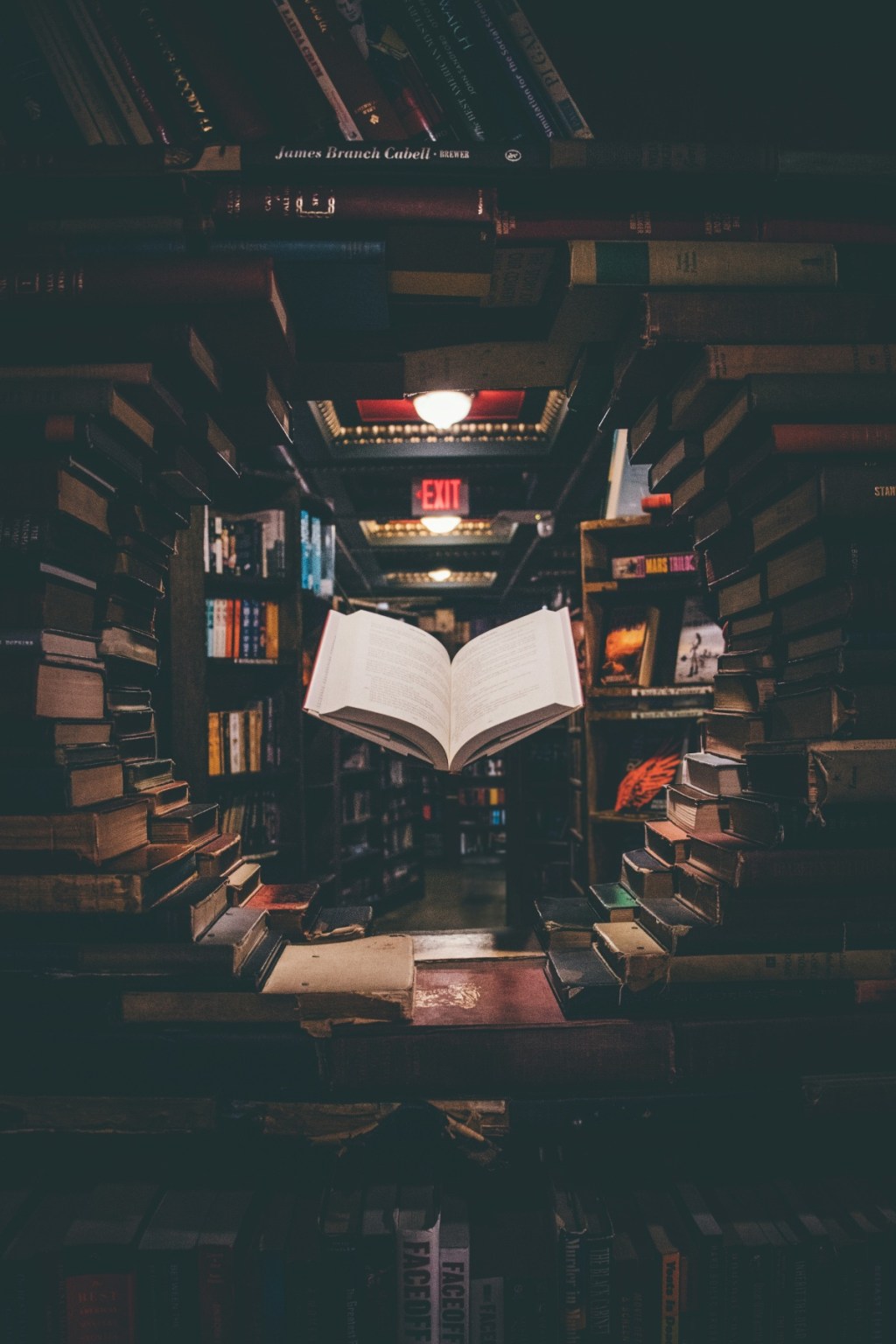 My Libib library is coming together